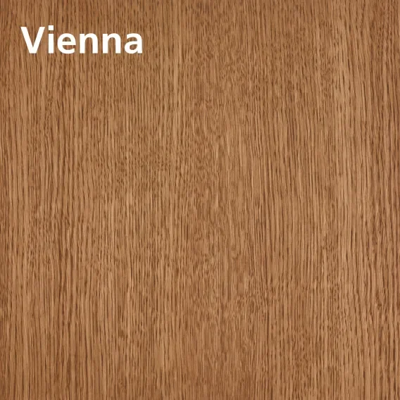 Vienna